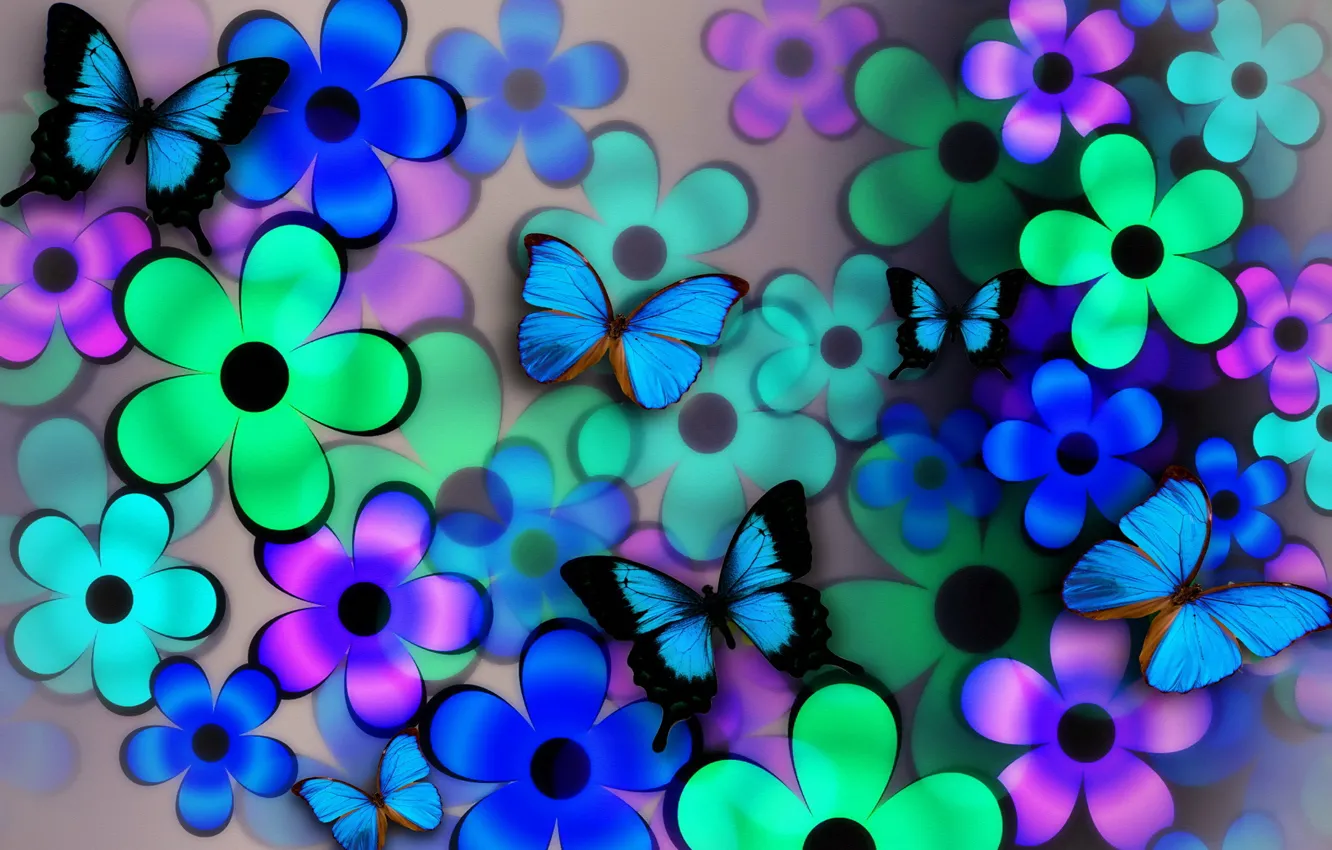 Photo wallpaper flowers, collage, butterfly, wings, petals