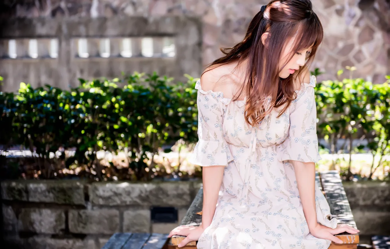 Photo wallpaper girl, dress, Asian