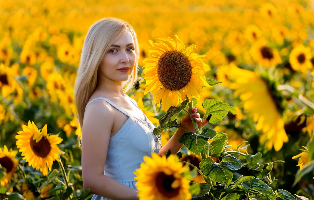 Photo wallpaper sunflowers, Girl, Elena, Paul Sahaidak