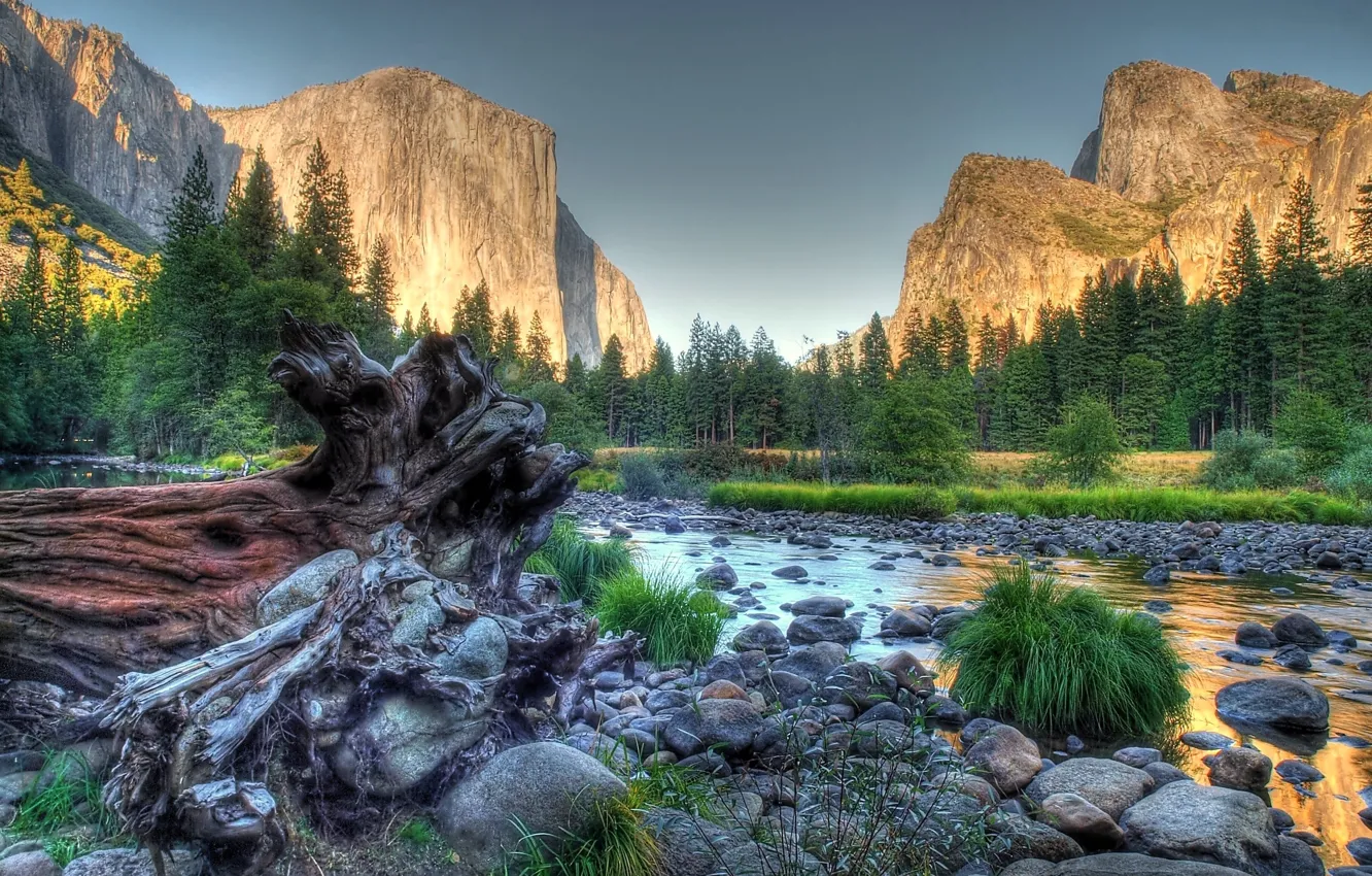 Photo wallpaper forest, stones, stream, Mountains, valley, Yosemite National Park, rapids