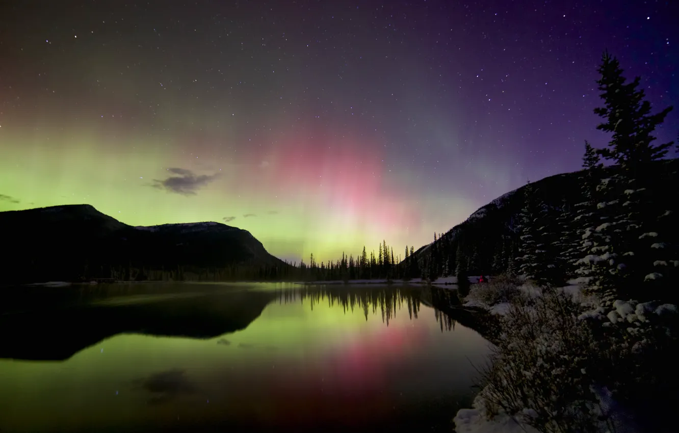 Photo wallpaper winter, the sky, stars, landscape, night, Northern lights