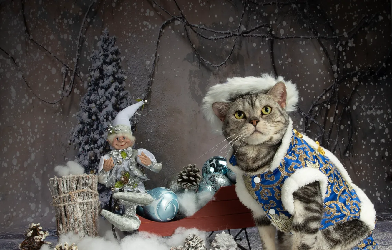 Photo wallpaper cat, toy, new year, Christmas, outfit, the scenery, sleigh, bumps
