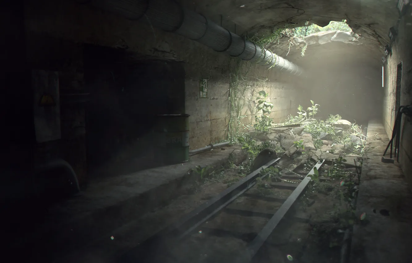 Photo wallpaper light, plant, rails, hole, the tunnel, pipe, render, opening