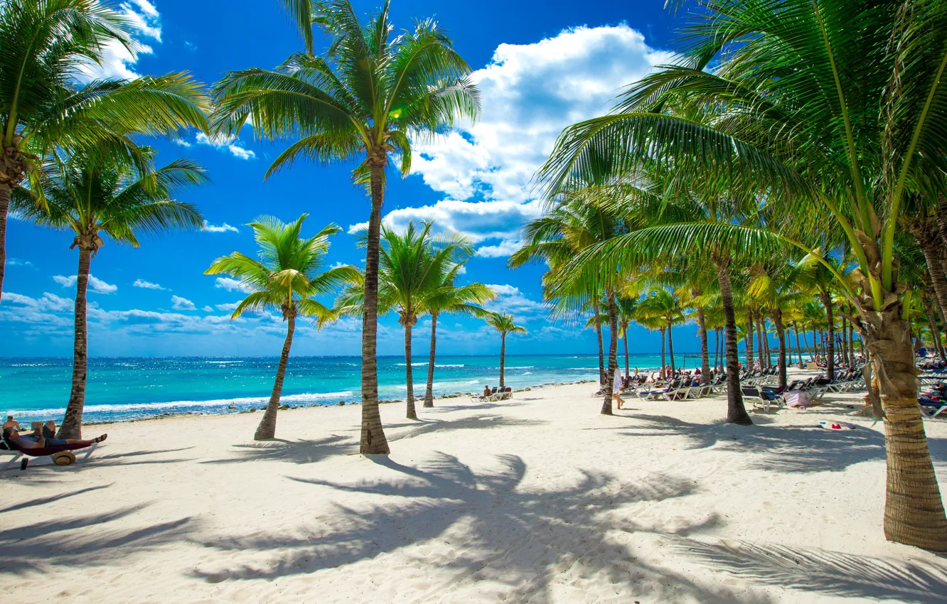 Photo wallpaper sand, sea, beach, the sky, the sun, clouds, tropics, palm trees