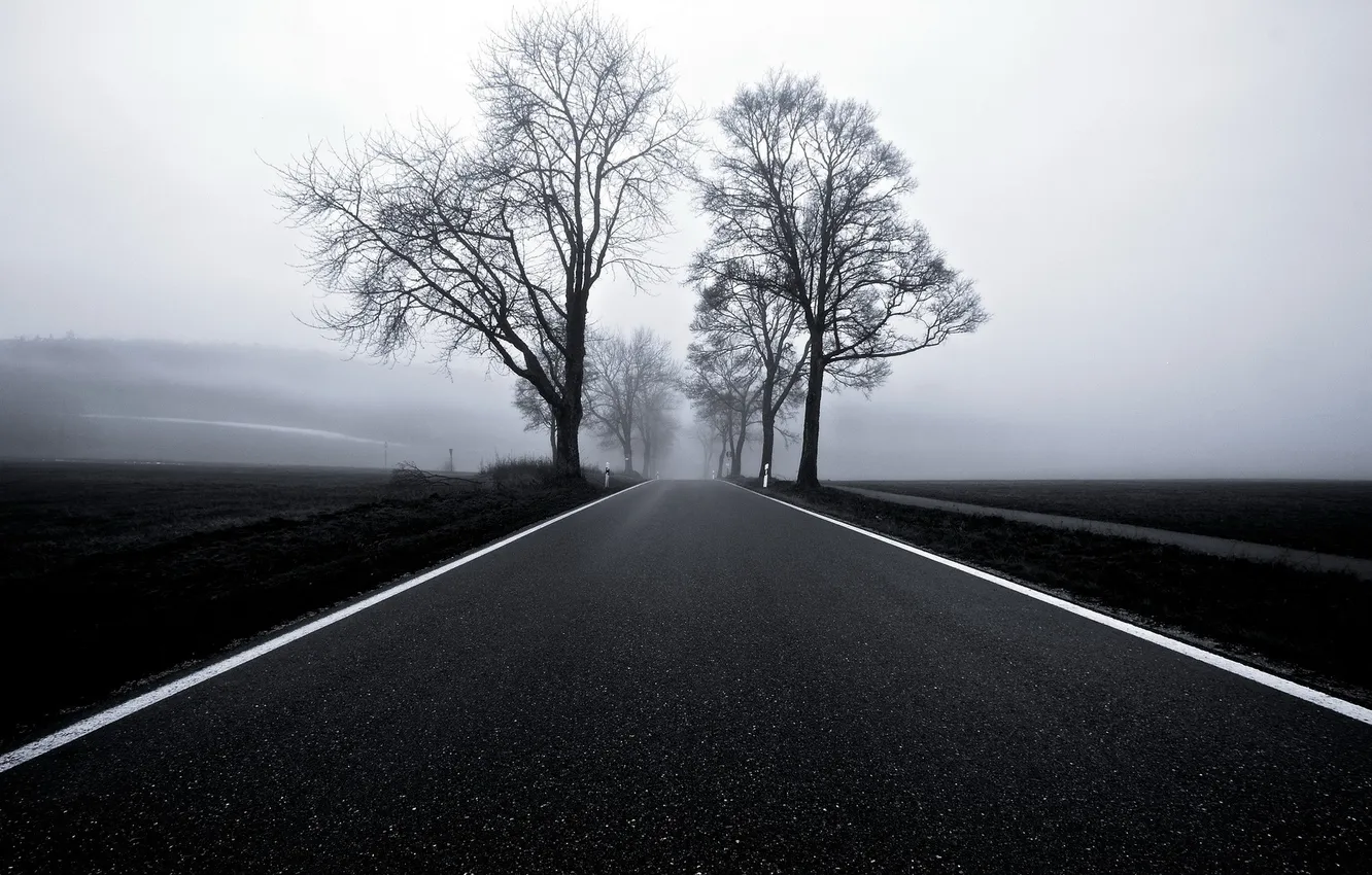 Photo wallpaper road, landscape, fog
