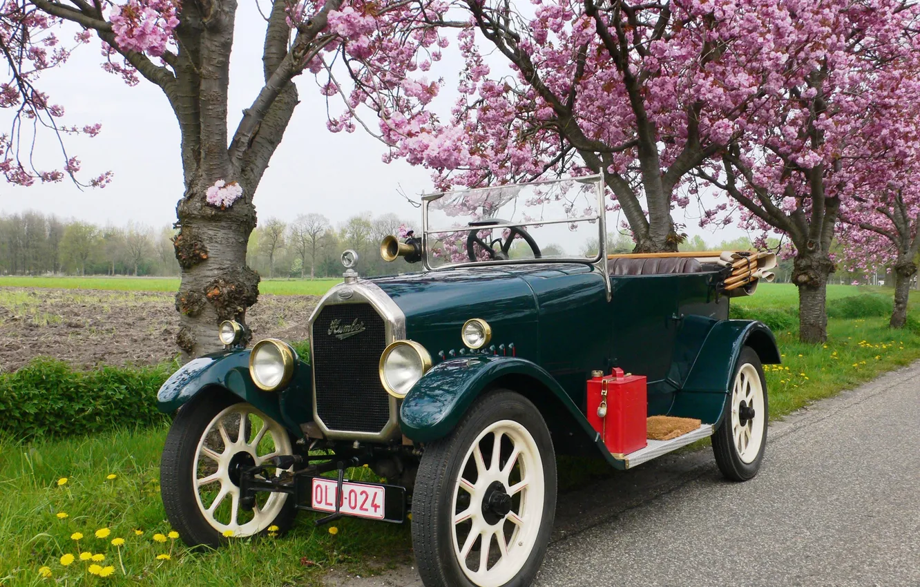 Photo wallpaper field, grass, trees, flowers, green, retro, beautiful, convertible