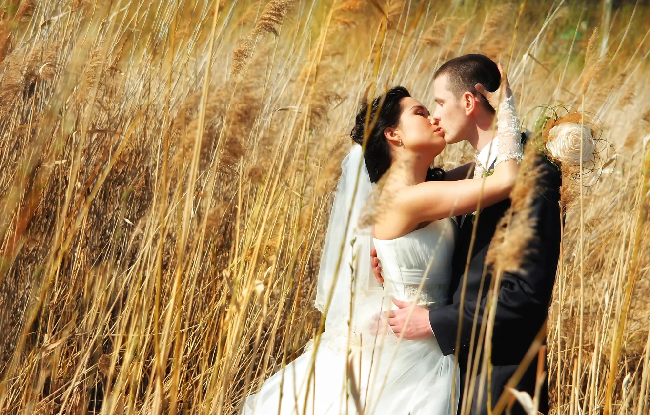 Photo wallpaper love, kiss, wedding