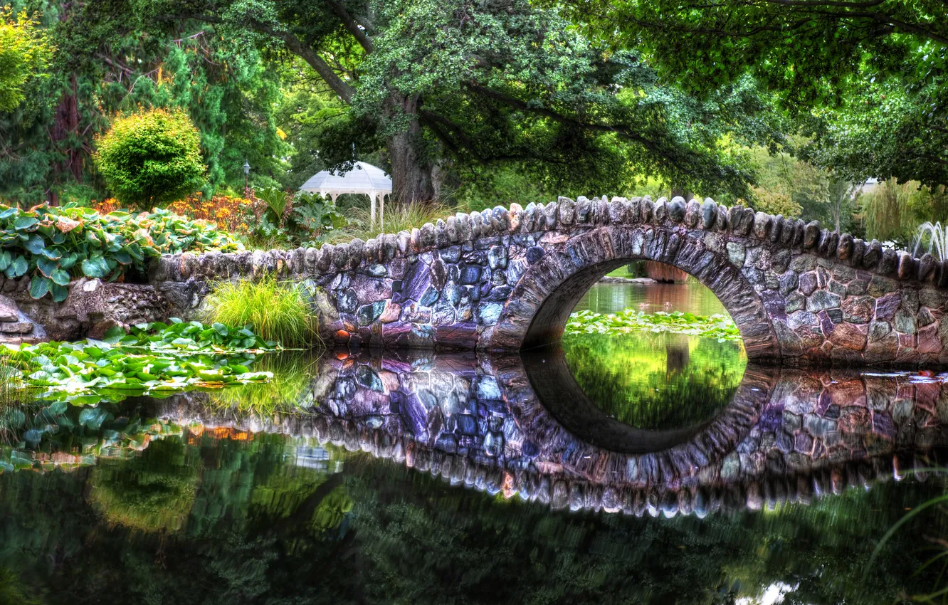 Photo wallpaper forest, water, trees, bridge, pond, river, the tolkien bridge