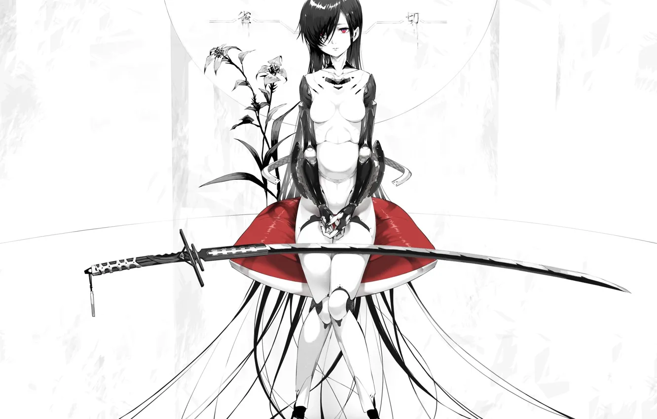 Photo wallpaper girl, sword, anime