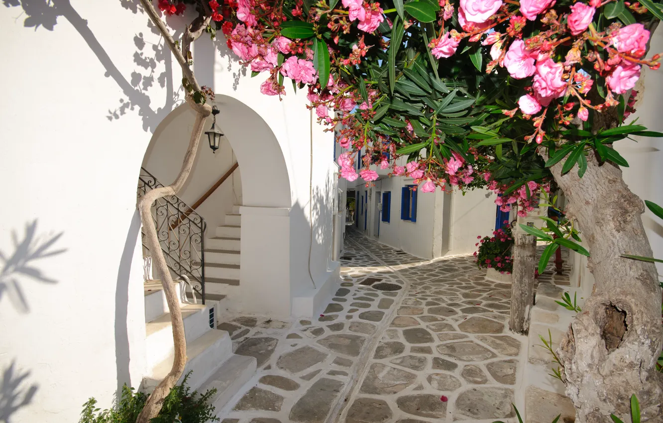 Photo wallpaper flowers, home, Santorini, Greece