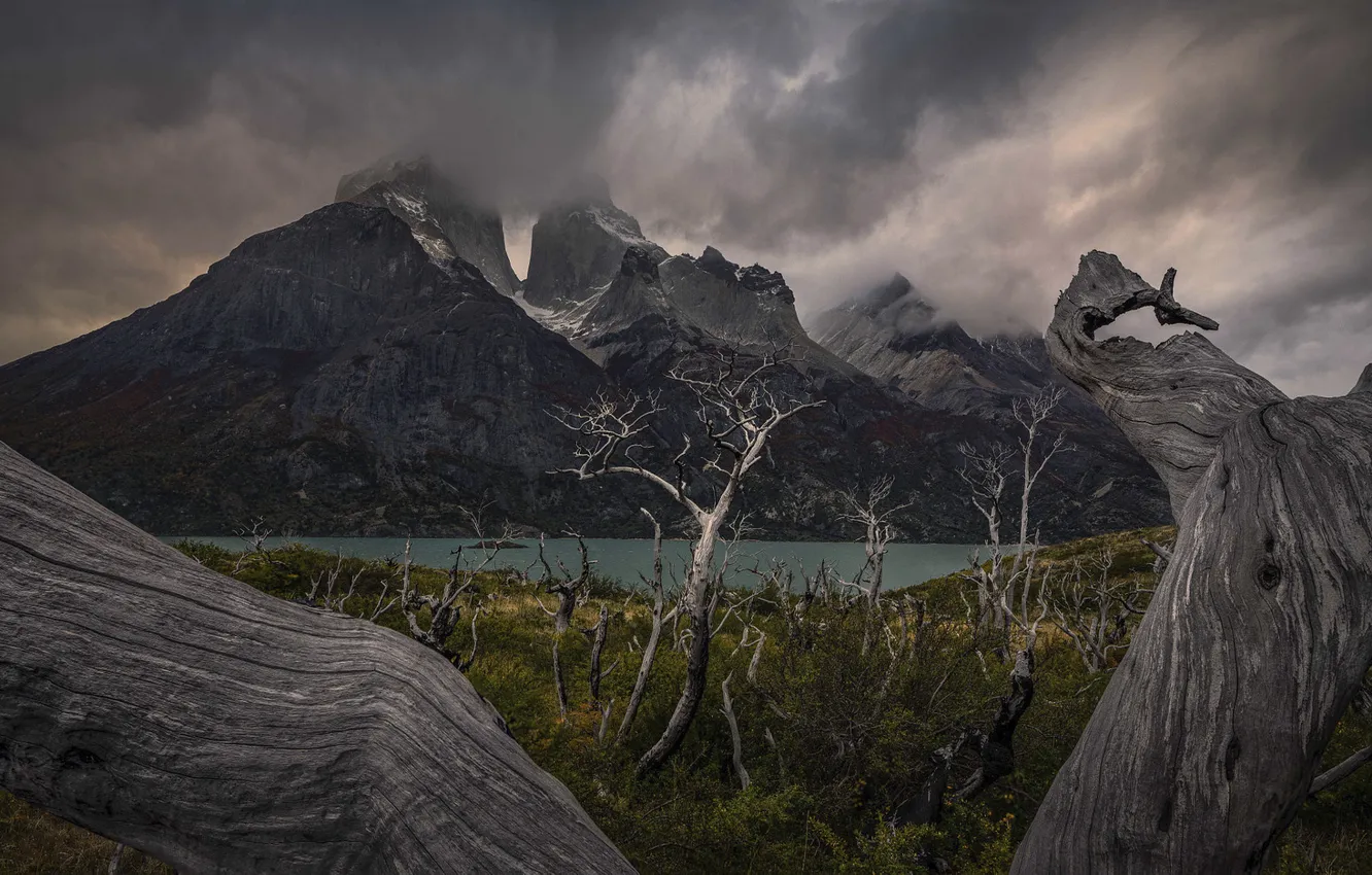 Photo wallpaper trees, mountains, shore, trunk, pond, Andes
