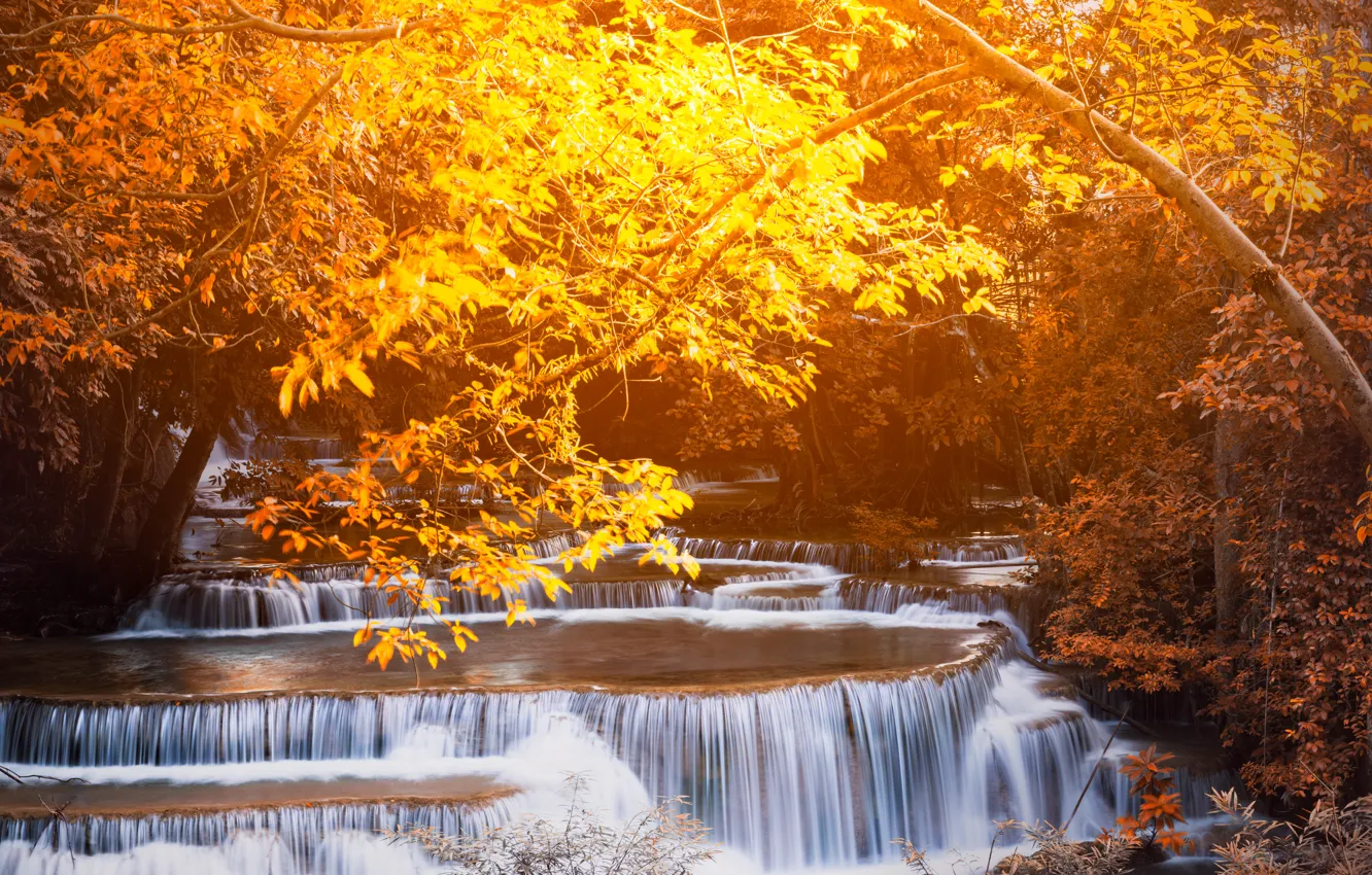 Photo wallpaper landscape, nature, rocks, shore, vegetation, waterfall