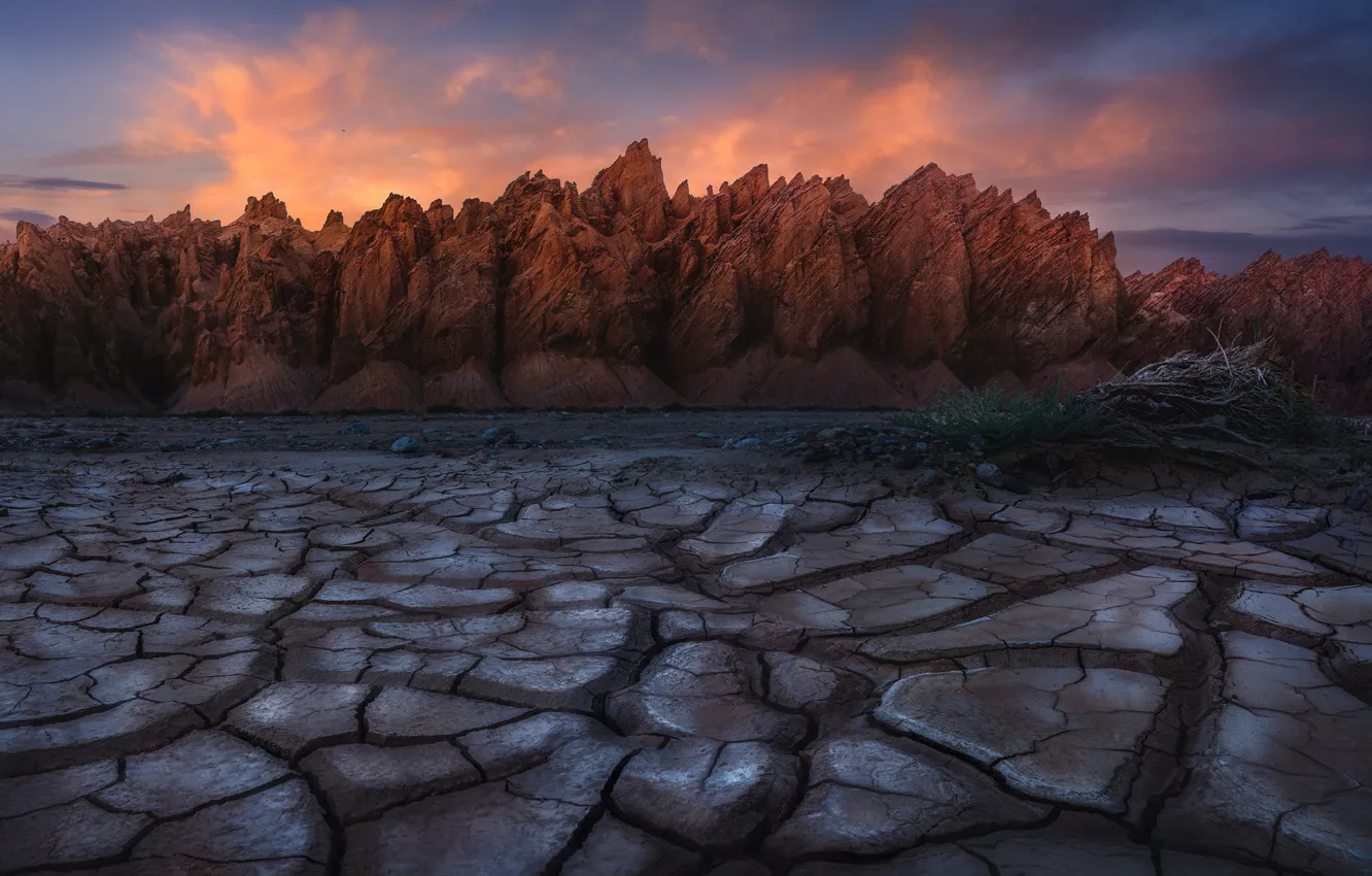 Photo wallpaper clouds, mountains, branches, cracked, rocks, earth, desert, tops