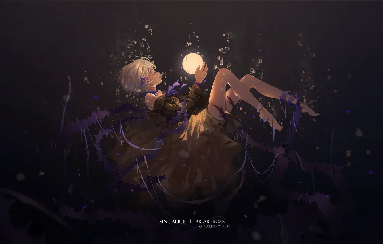 Photo wallpaper girl, Sinoalice, Ibarahime