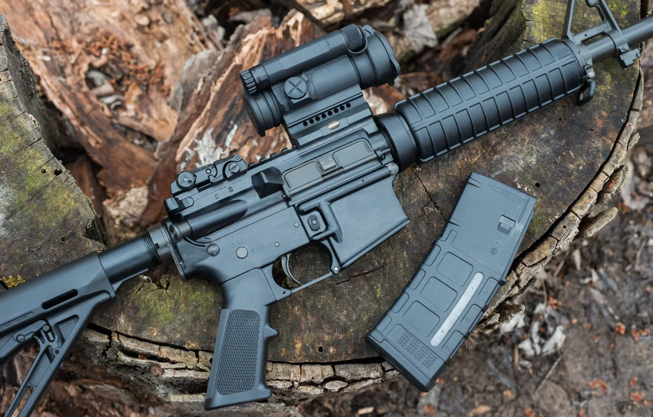 Photo wallpaper rifle, American, shop, AR-15, semi-automatic