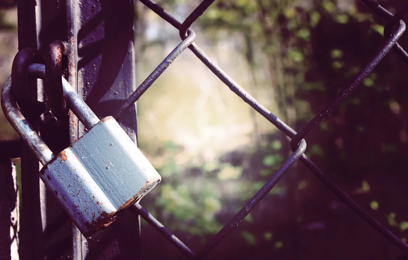 Photo wallpaper castle, mood, the fence, spring