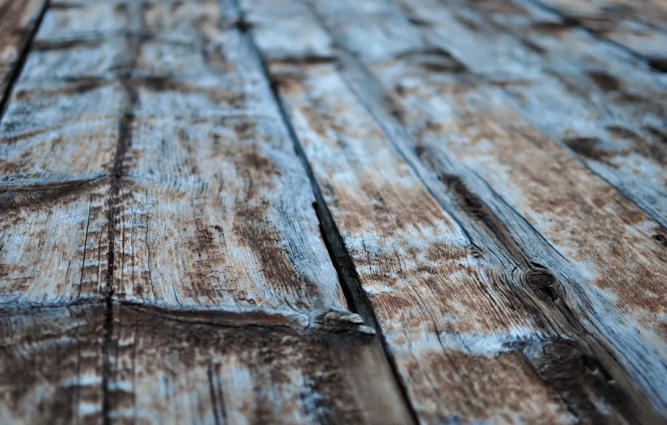 Photo wallpaper macro, background, Board