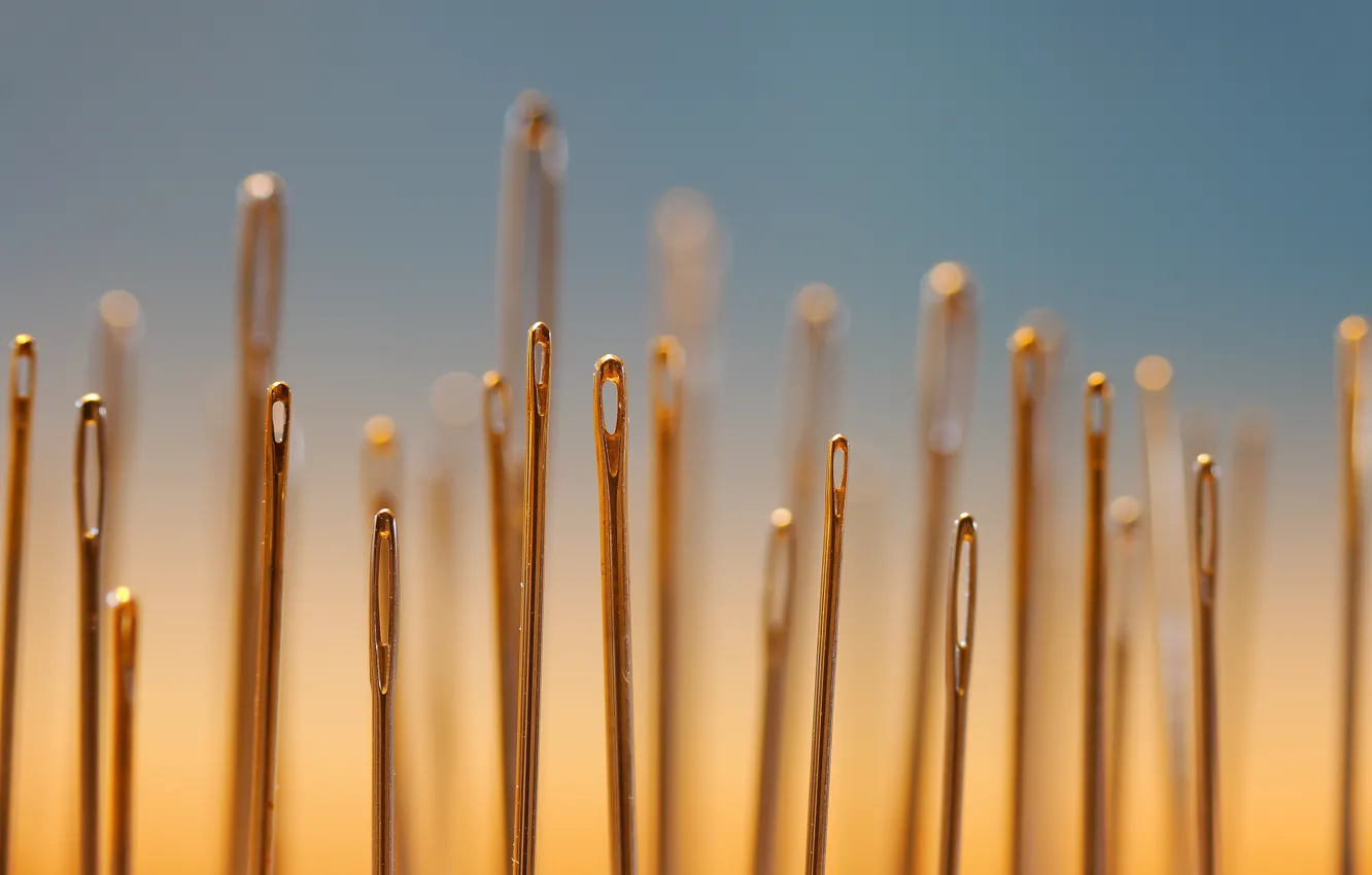 Photo wallpaper macro, needles, background