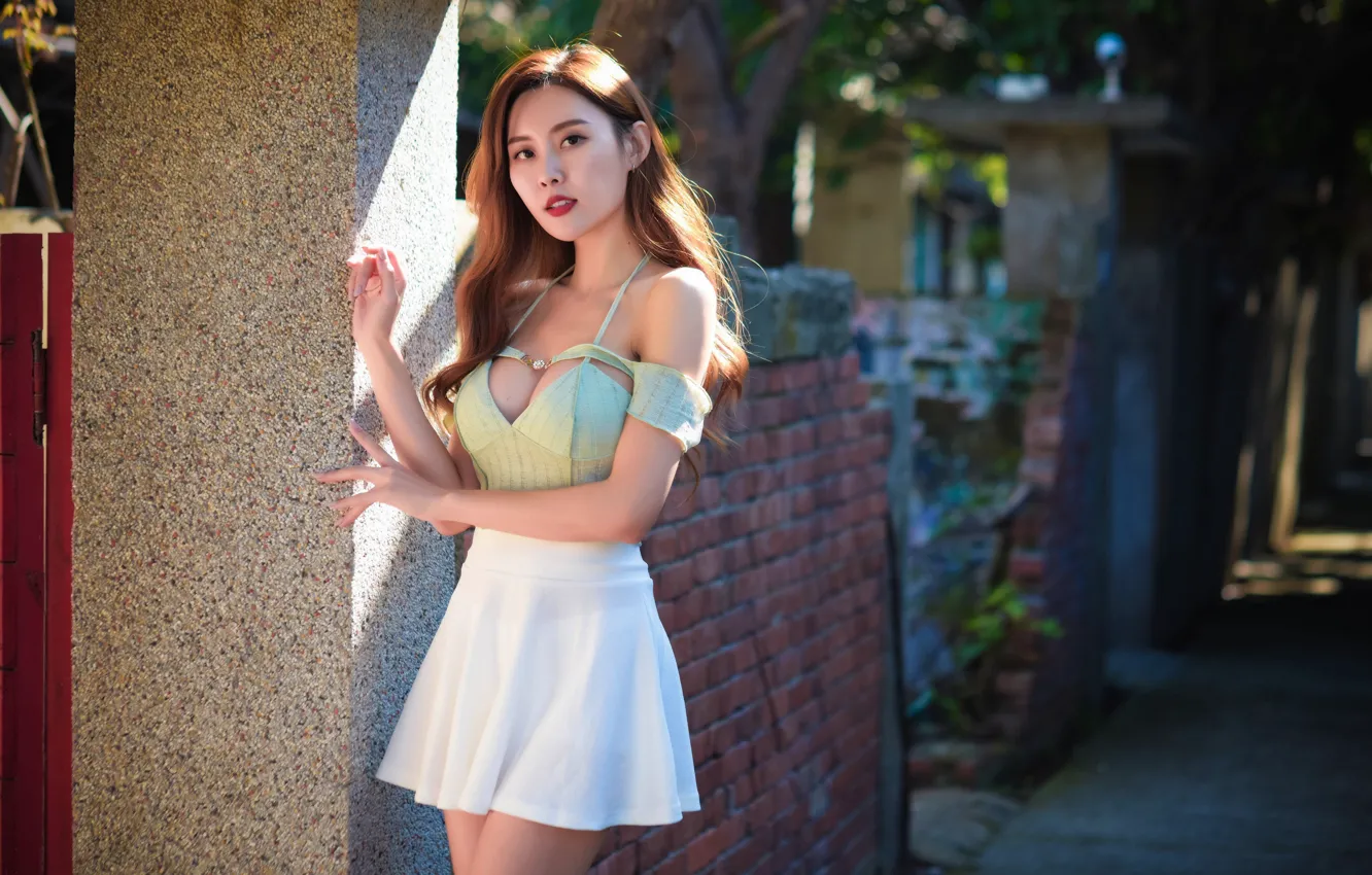 Photo wallpaper look, the sun, pose, model, skirt, portrait, makeup, figure