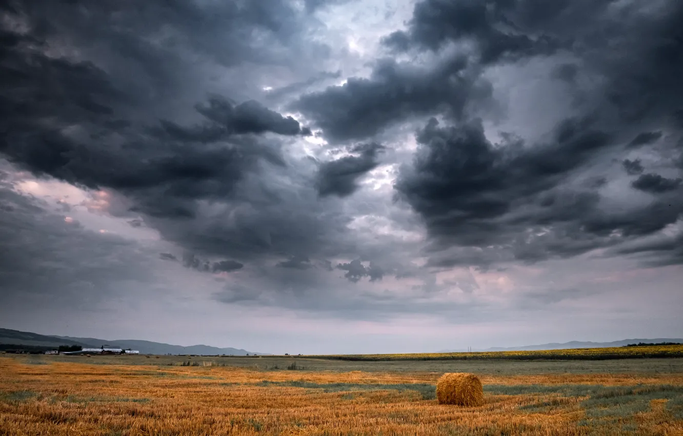 Photo wallpaper field, hay, Kip