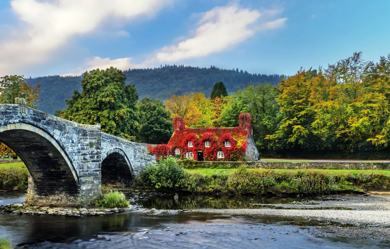 Photo wallpaper forest, trees, bridge, design, river, UK, house, Wales