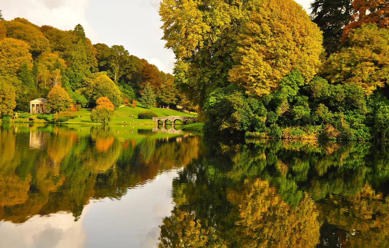 Photo wallpaper autumn, forest, river, England