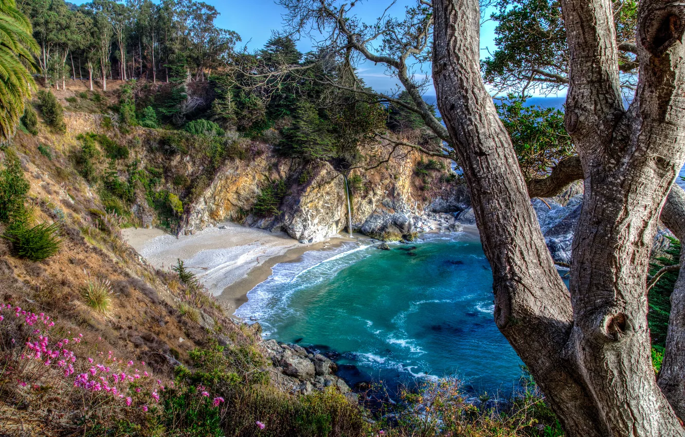 Photo wallpaper trees, rocks, waterfall, Bay