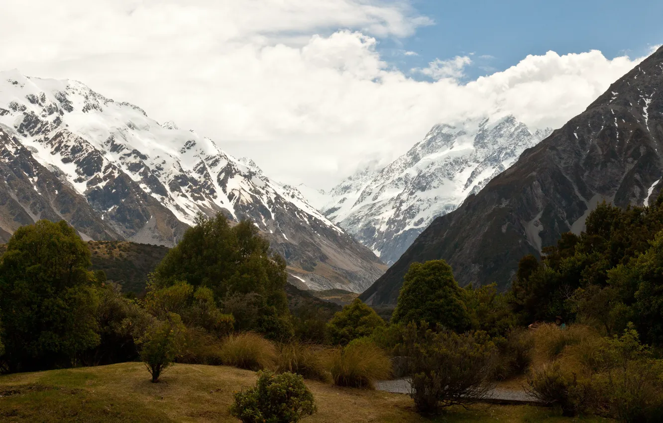 Photo wallpaper the sky, clouds, snow, trees, mountains, New Zealand, gorge, the bushes