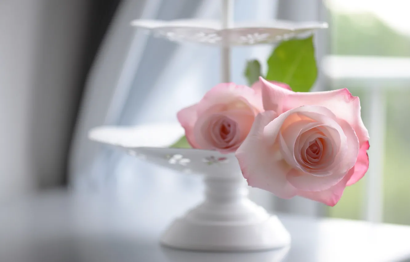 Photo wallpaper tenderness, roses, vase, bokeh