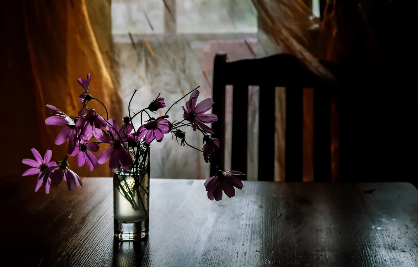 Photo wallpaper flowers, table, room