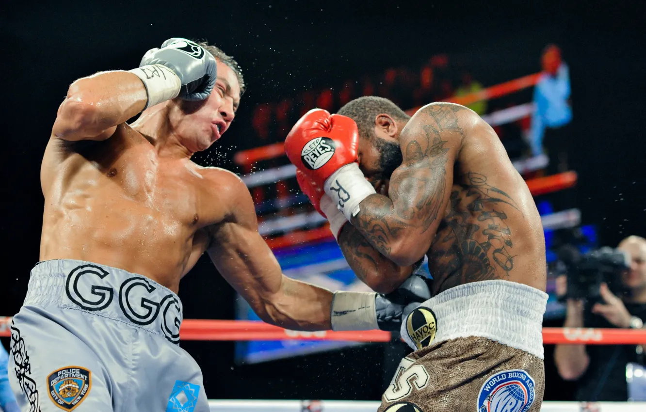 Photo wallpaper boxing, Gennady Golovkin, Curtis Stevens