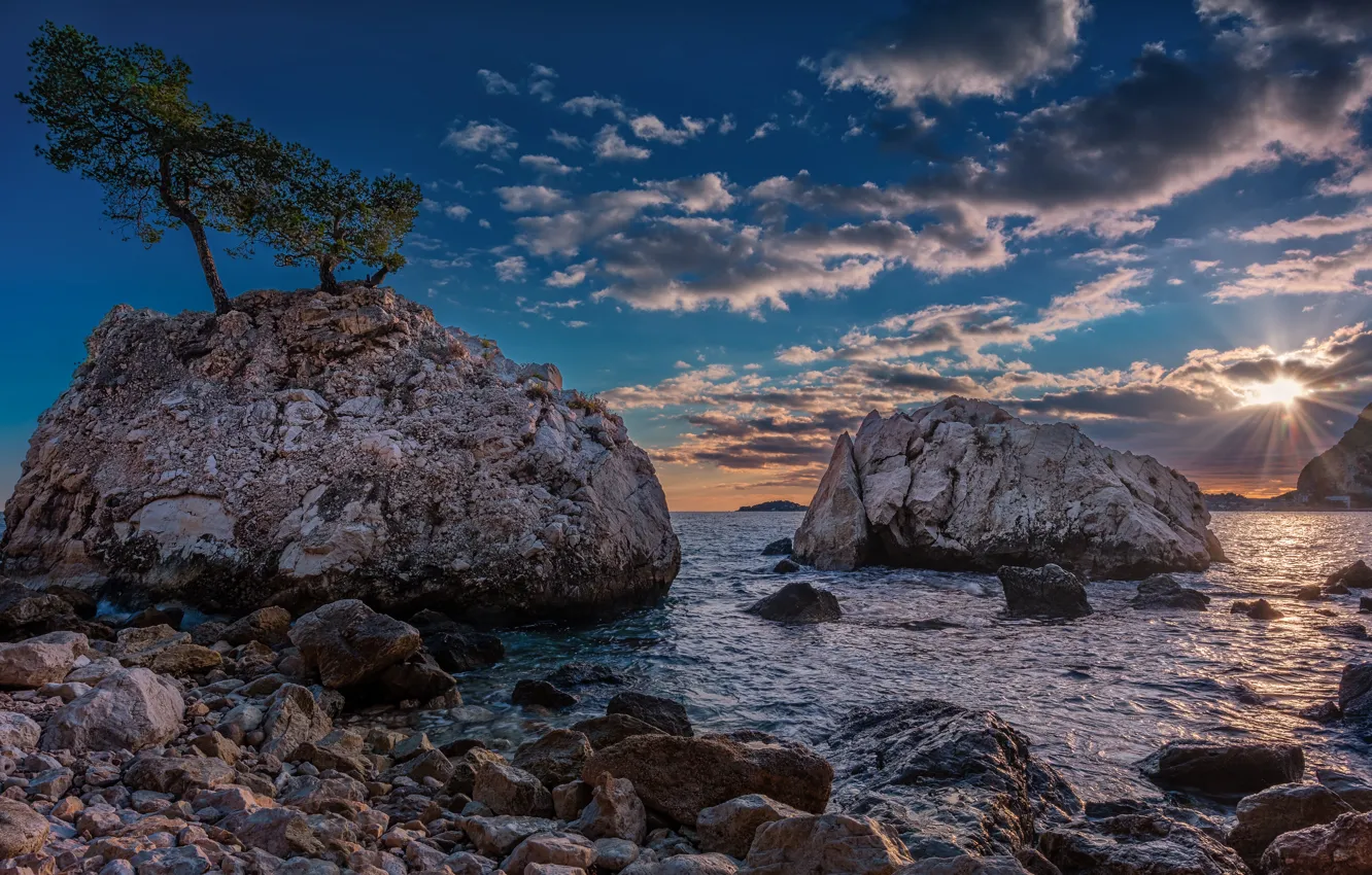 Photo wallpaper sea, trees, stones, rocks