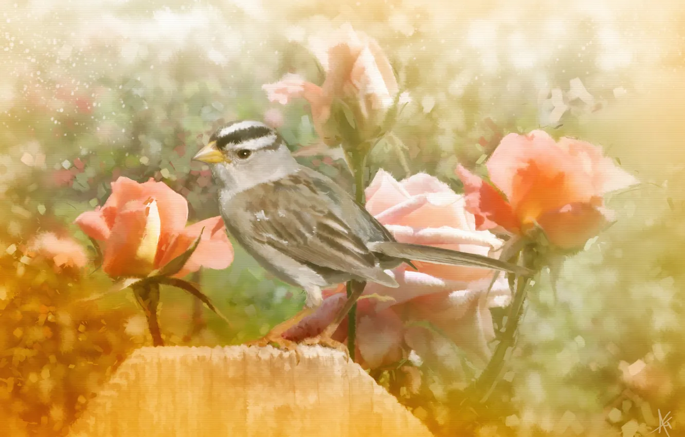 Photo wallpaper flowers, bird, roses, texture