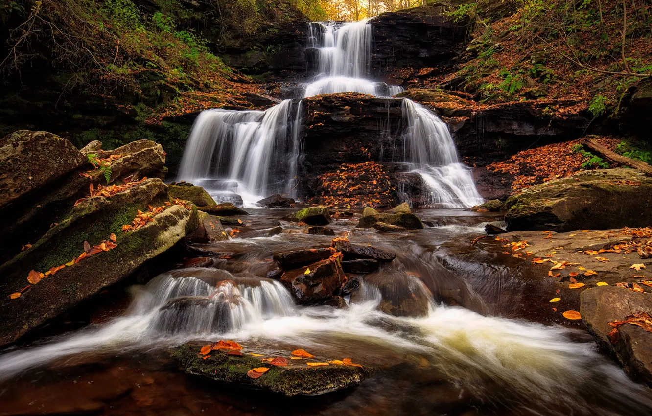 Photo wallpaper autumn, forest, stones, waterfall, falling leaves, cascade