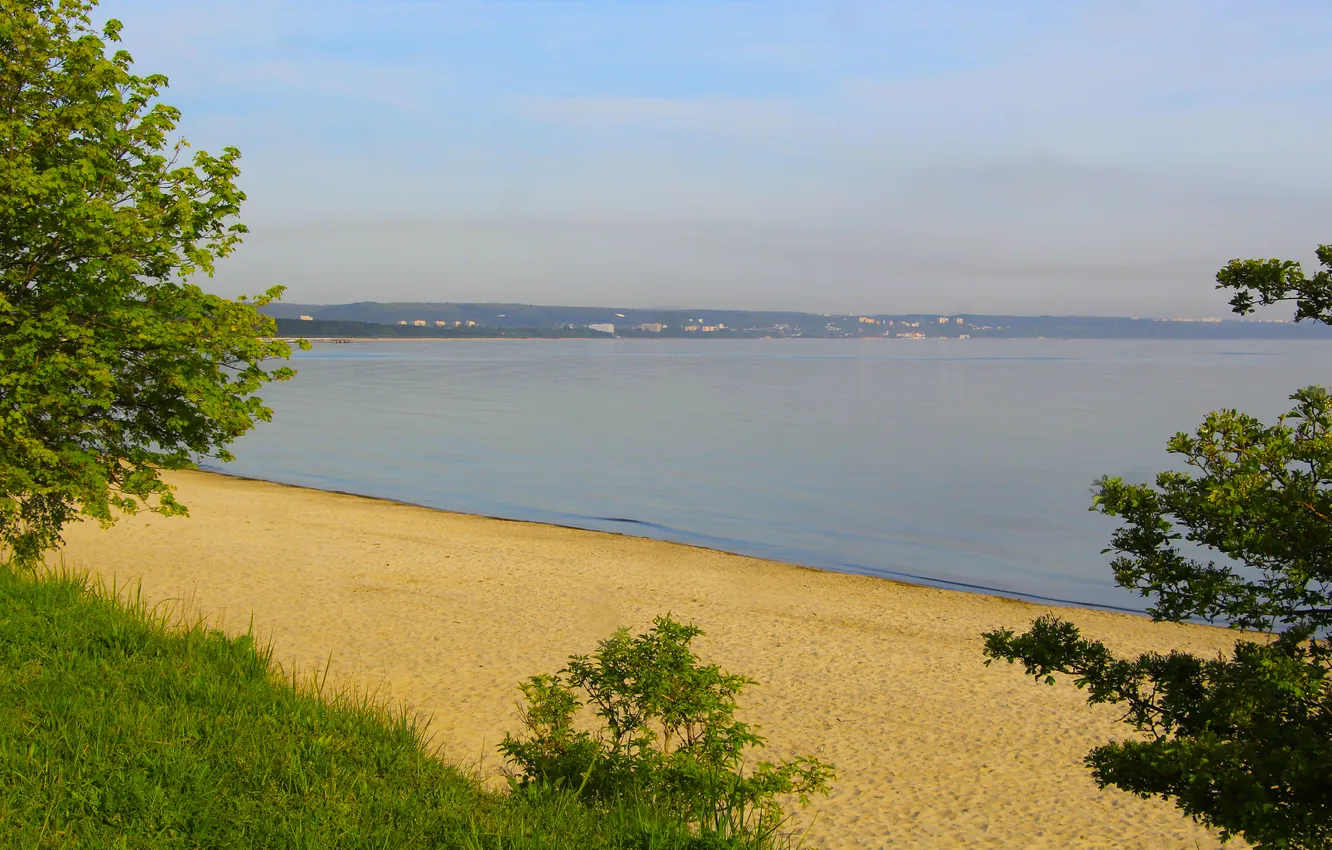 Photo wallpaper beach, sky, sea, tree