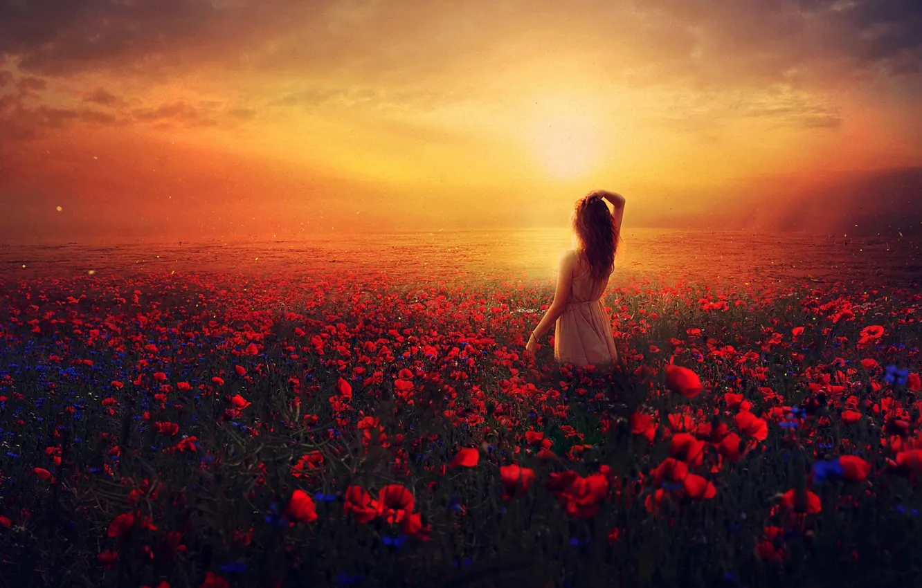 Photo wallpaper field, summer, girl, the sun, clouds, light, landscape, sunset