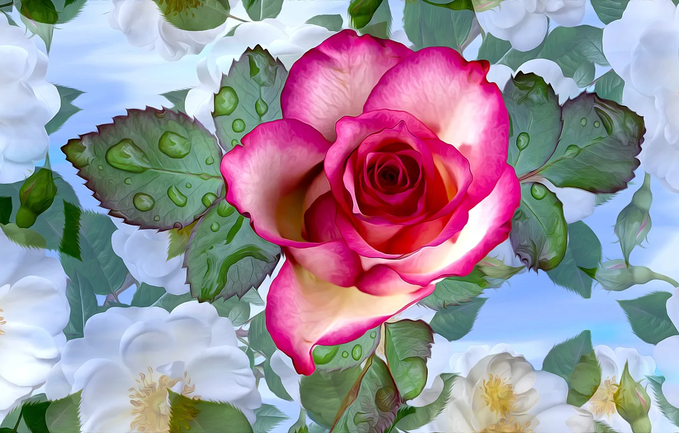 Photo wallpaper Flowers, Pink, Water drops
