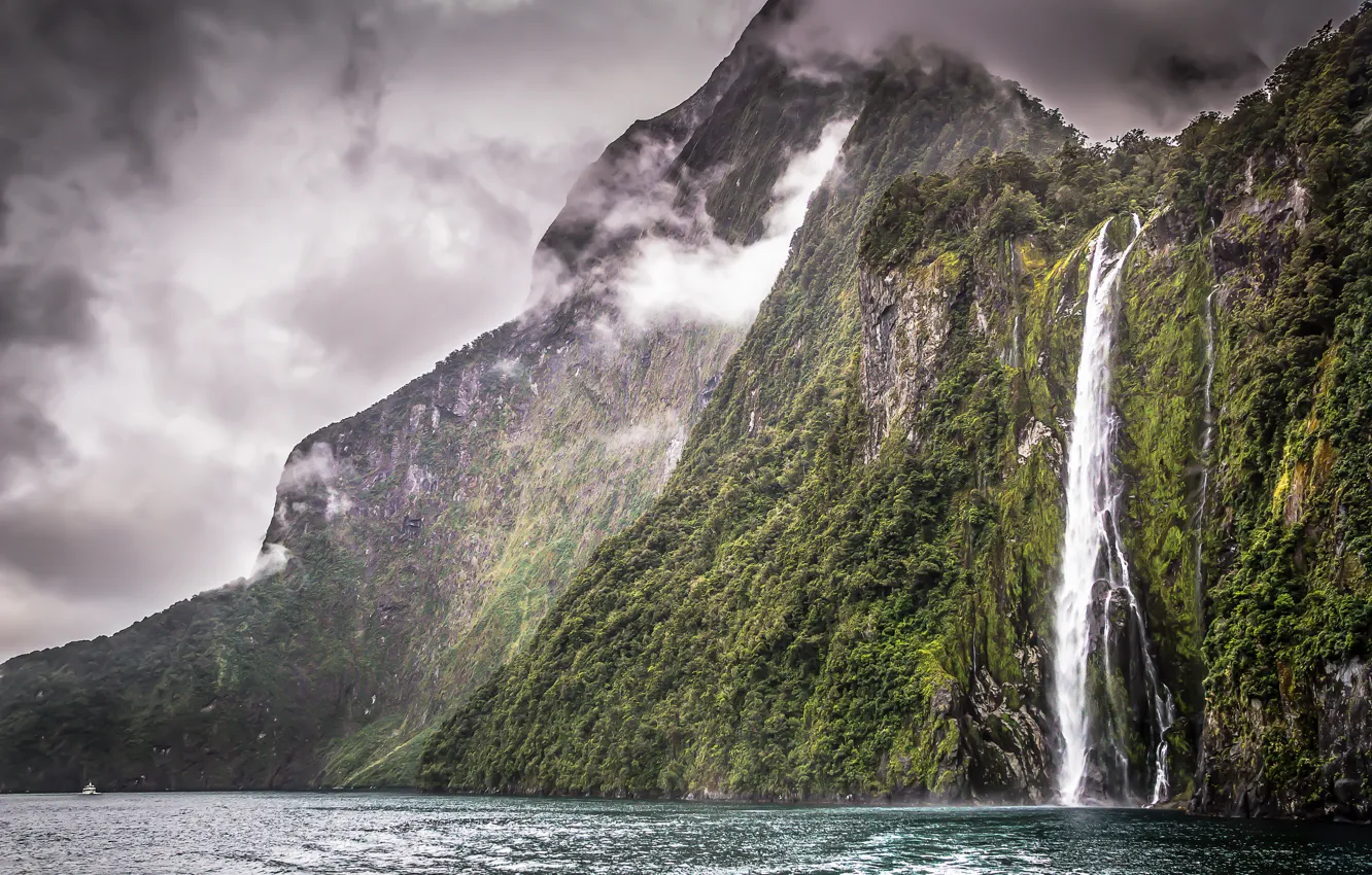Photo wallpaper vegetation, waterfall, New Zealand, New Zealand, waterfall, Milford Sound, vegetation, Milford Sound