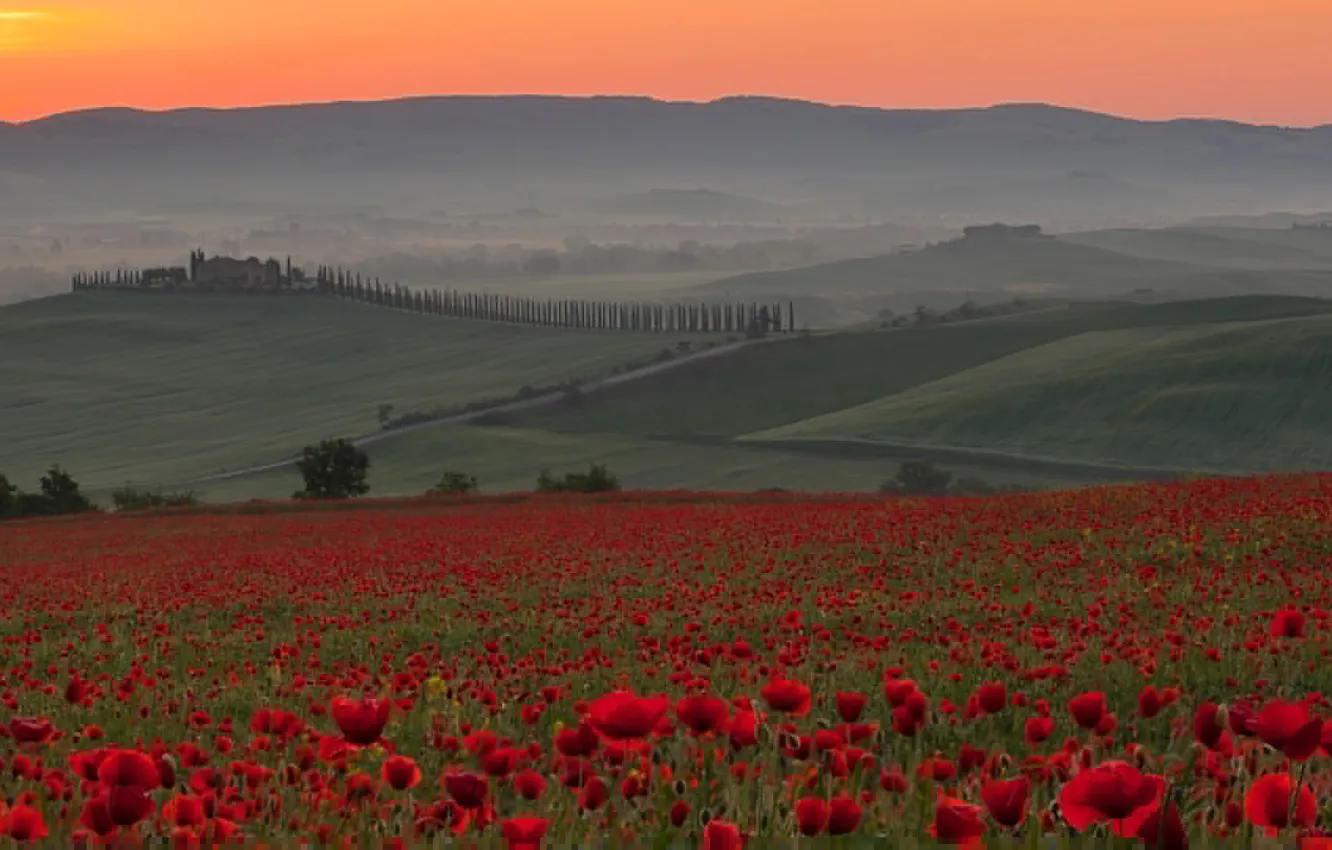 Photo wallpaper field, the sky, sunset, flowers, fog, hills, Maki, Italy