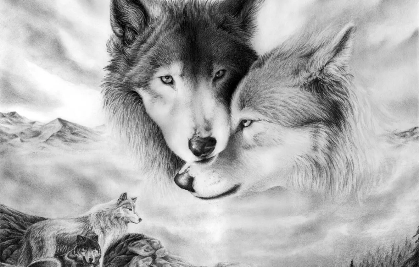Photo wallpaper look, love, tenderness, figure, pair, wolves