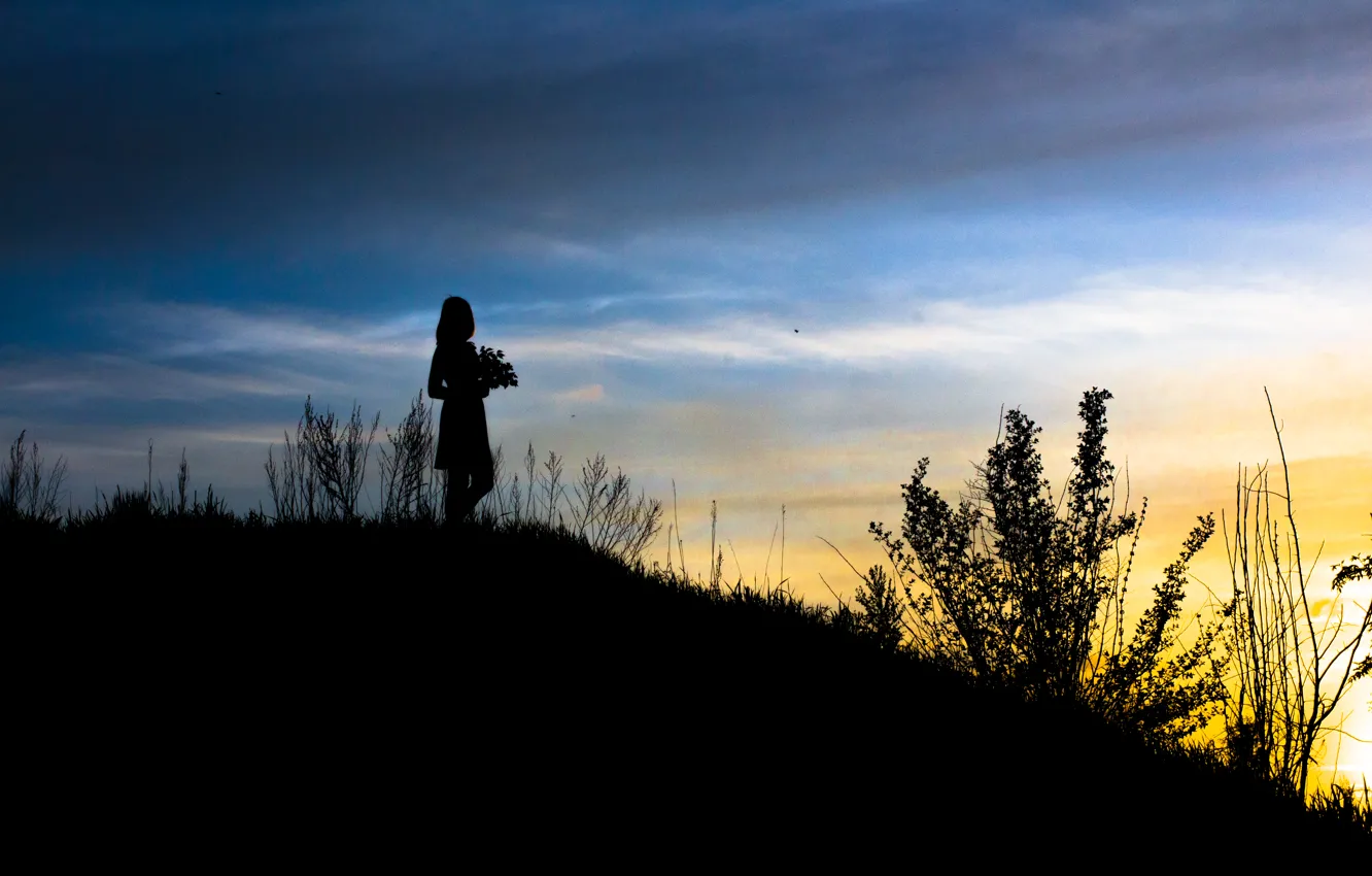 Photo wallpaper the sky, girl, sunset, flowers, silhouette