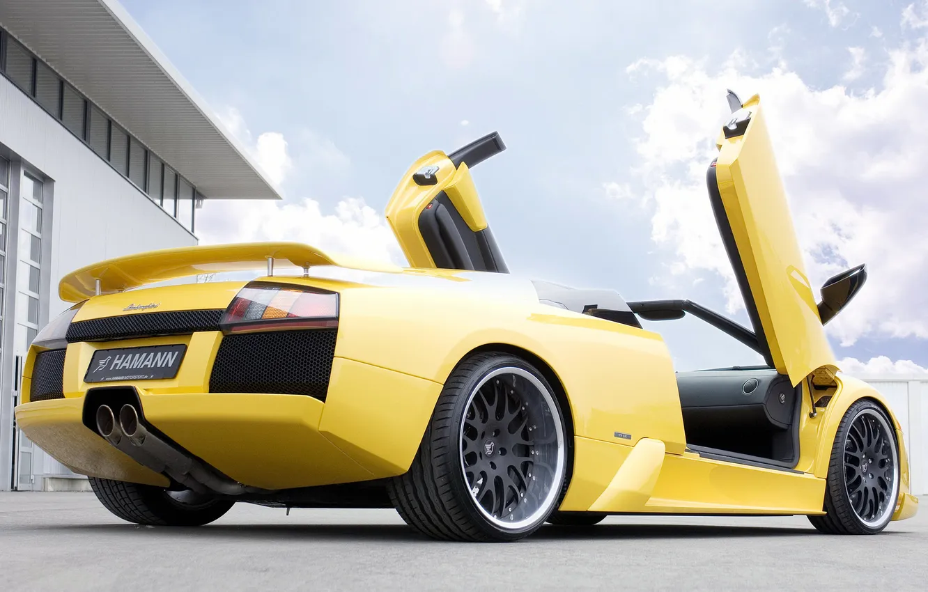 Photo wallpaper machine, tuning, Roadster, Lamborghini, Hamann, murcielago, back, Hamann