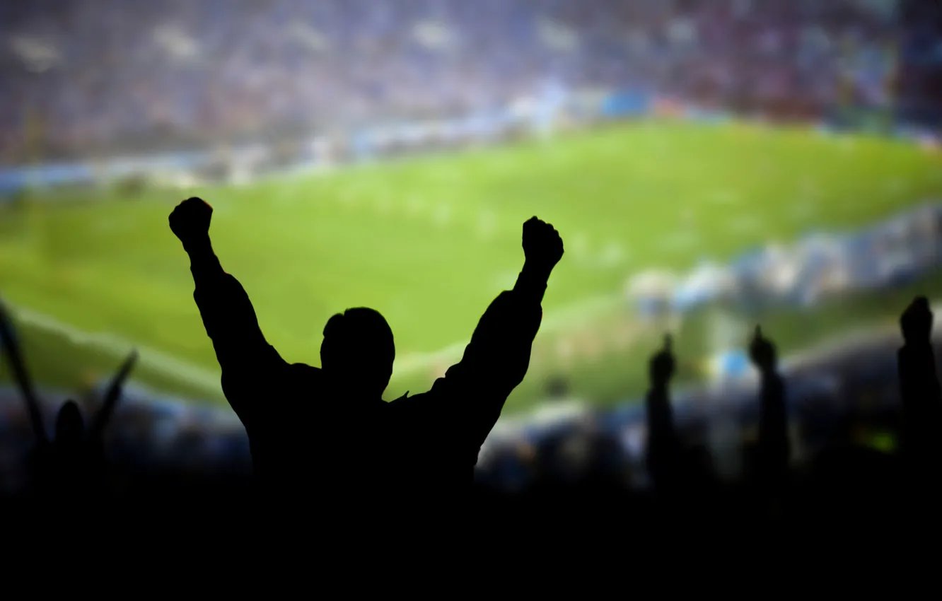 Photo wallpaper football, sport, fan, stadium