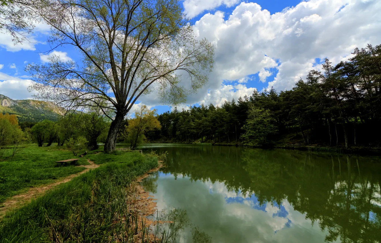 Photo wallpaper forest, water, clouds, trees, mountains, lake, reflection, France