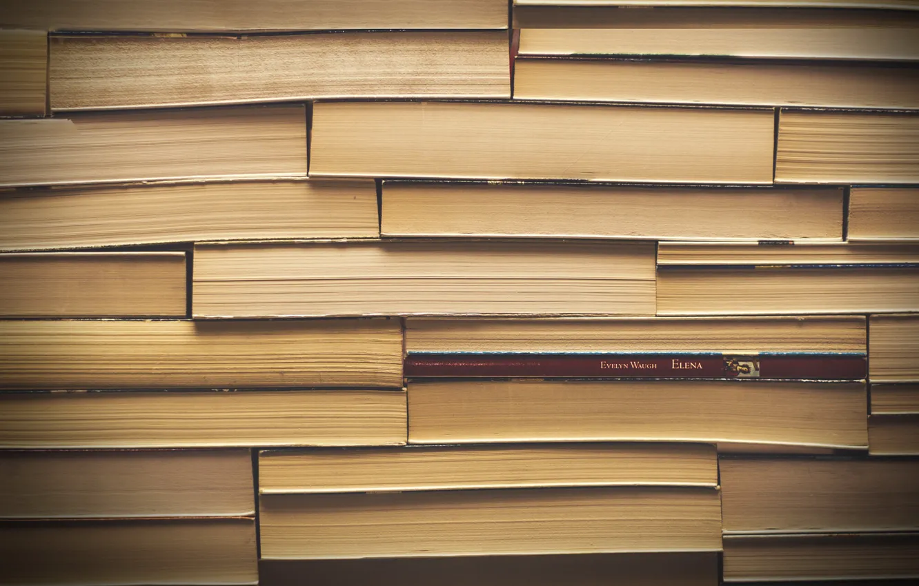 Photo wallpaper macro, background, book