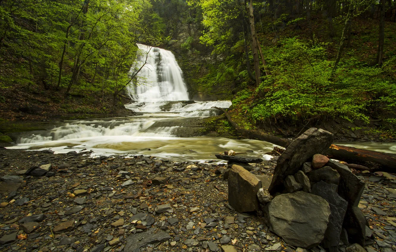 Photo wallpaper greens, forest, stones, waterfall