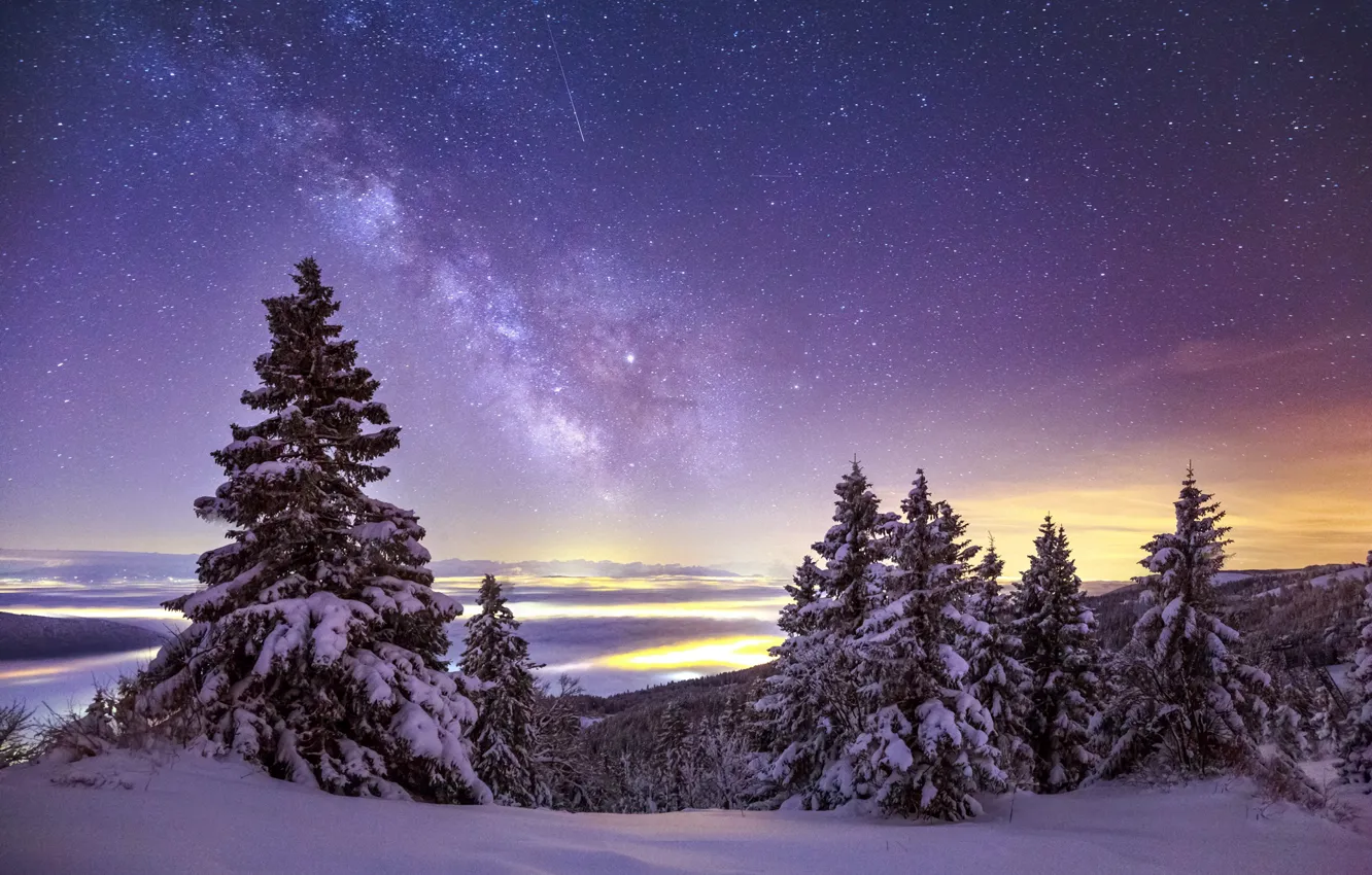 Photo wallpaper The sky, Winter, Mountains, Snow, Stars, The Milky Way, Spruce Trees