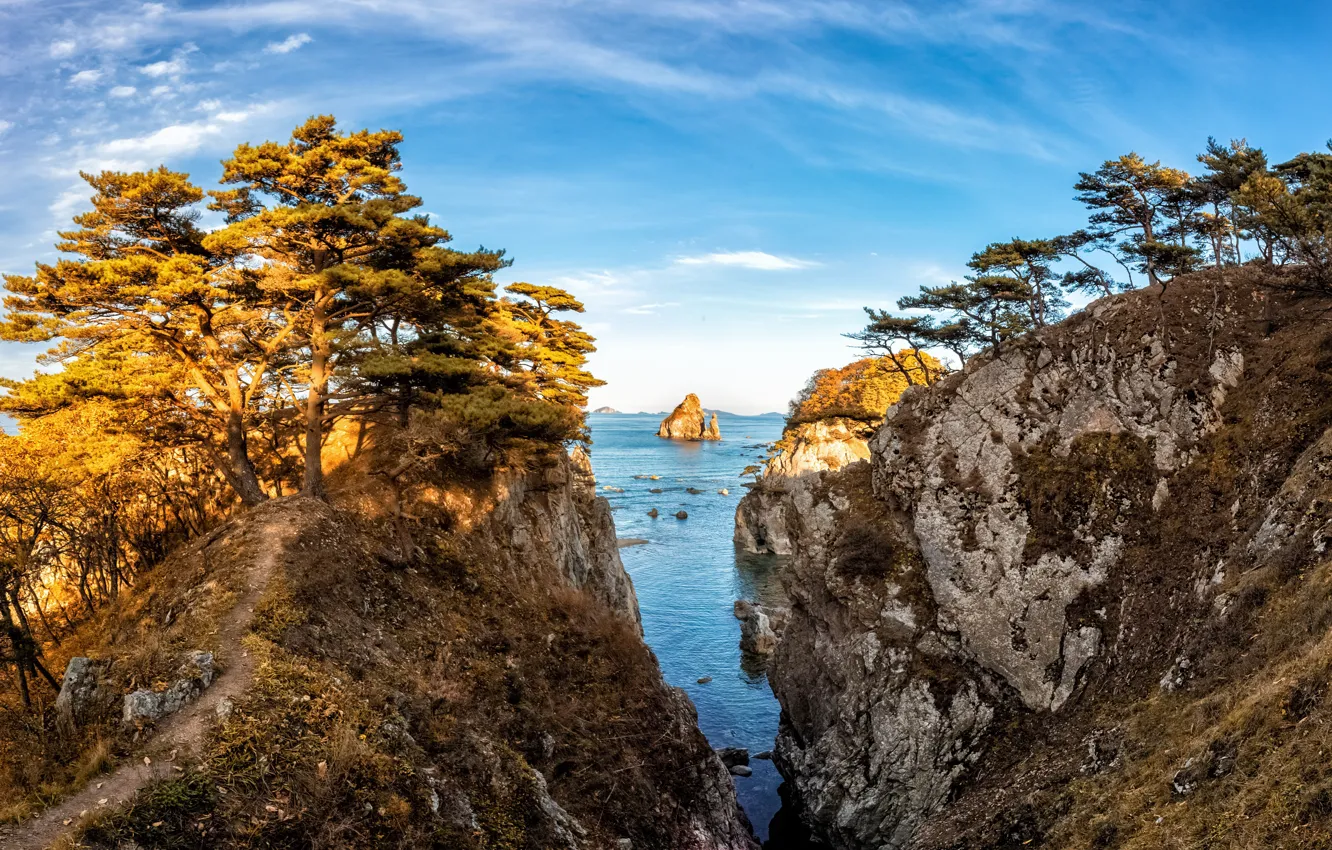 Photo wallpaper sea, trees, landscape, nature, rocks, reserve, Primorye