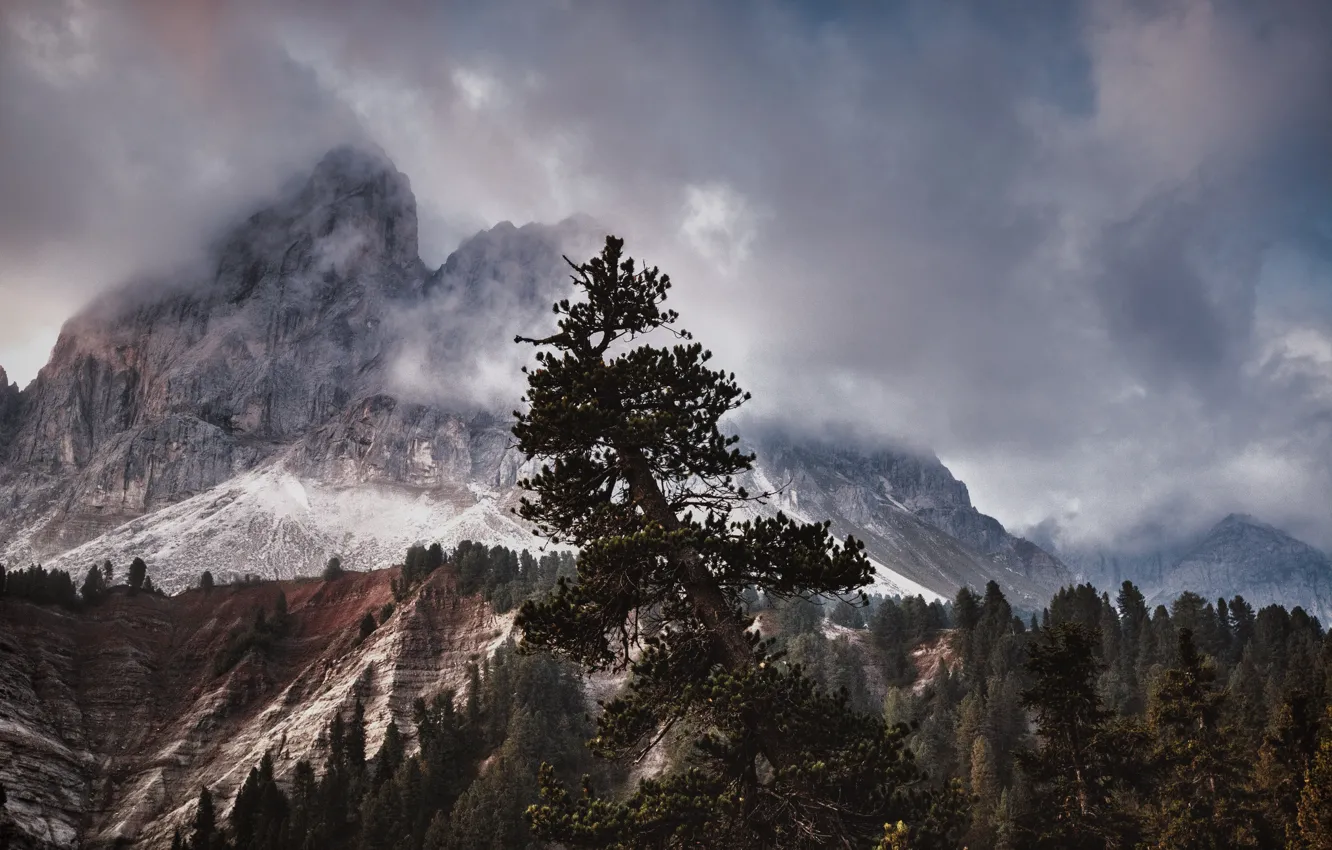 Photo wallpaper the sky, clouds, trees, mountains, clouds, nature, rocks, Alps