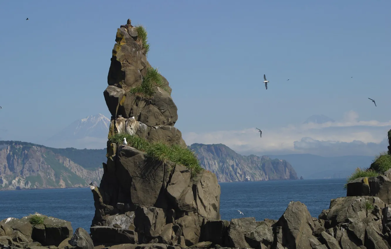 Photo wallpaper sea, rock, photo, seagulls, Kamchatka